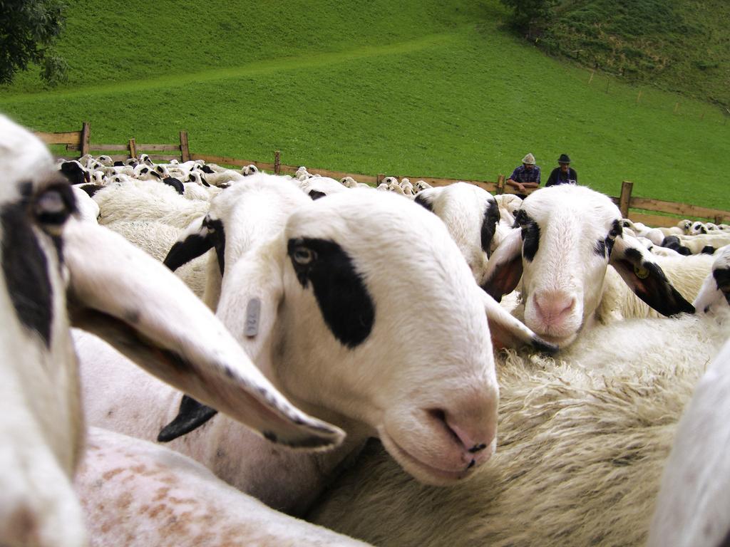 Gasthof Teiser Stern Funes  Dış mekan fotoğraf
